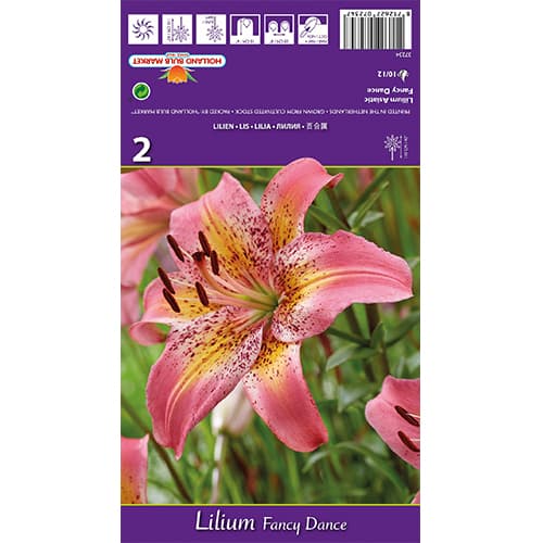 Lilie Fancy Dance interface.image 1 interface.art 77836