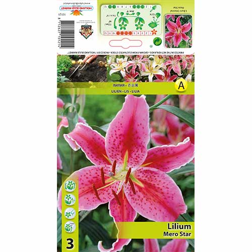 Lilie Mero Star interface.image 1 interface.art 76315