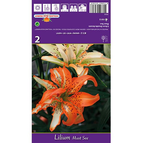 Lilie Must See interface.image 1 interface.art 77838