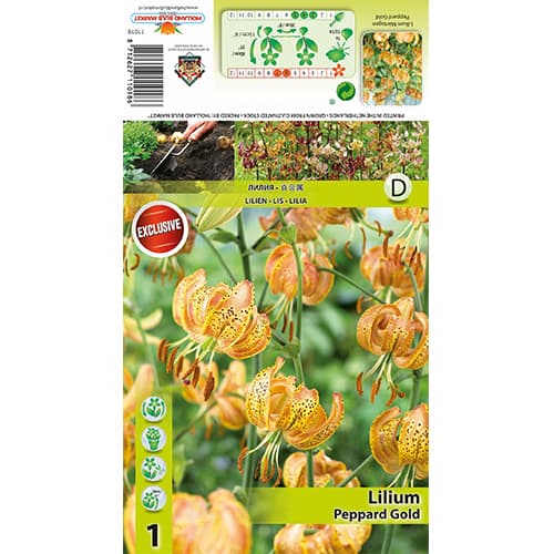 Lilie Peppart Gold interface.image 1 interface.art 77823