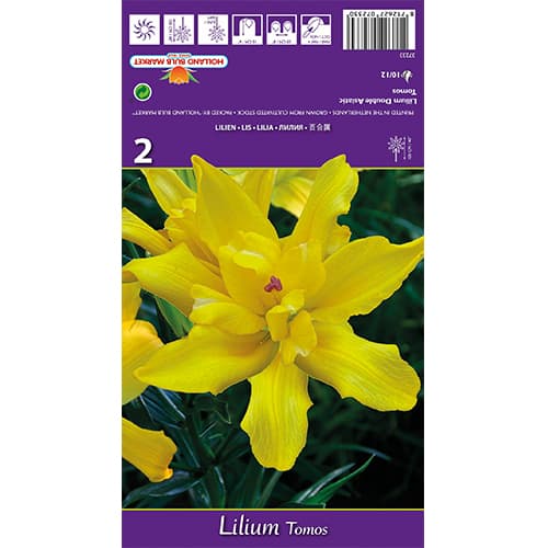 Lilie Tomos interface.image 1 interface.art 77839