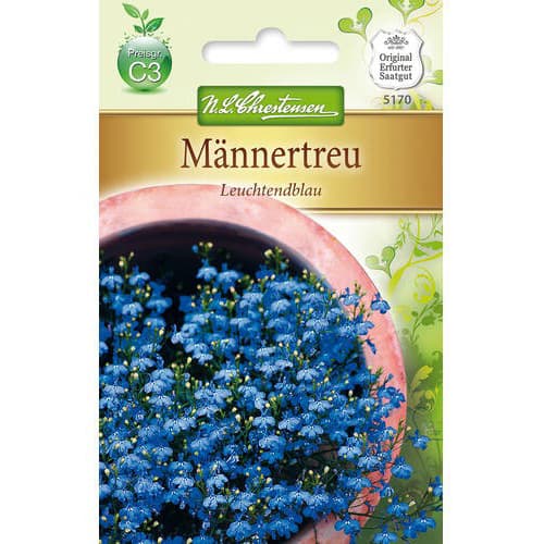 Männertreu Leuchtendblau interface.art Bild 1 Männertreu Leuchtendblau interface.image 1 interface.art 78918