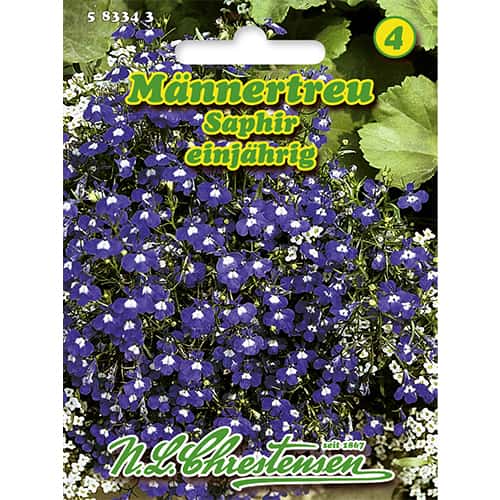 Männertreu Saphir interface.art Bild 1 Männertreu Saphir interface.image 1 interface.art 86165