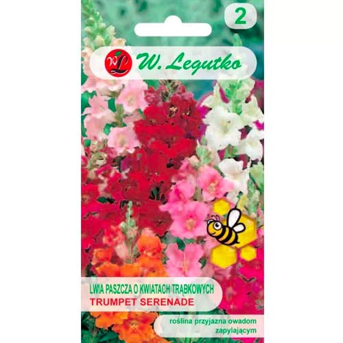 Löwenmäulchen Trumpet Serenade Legutko interface.image 1 interface.art 78574