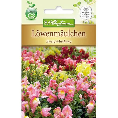 Löwenmäulchen Zwerg - Mischung interface.art Bild 1 Löwenmäulchen Zwerg - Mischung interface.image 1 interface.art 78889