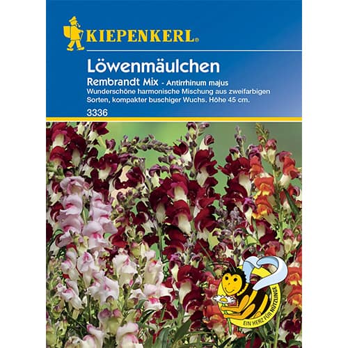 Löwenmäulchen Rembrandt Mischung interface.art Bild 1 Löwenmäulchen Rembrandt Mischung interface.image 1 interface.art 86286