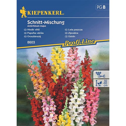 Löwenmäulchen Schnittmischung interface.image 1 interface.art 96510