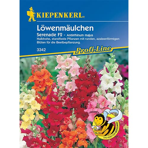 Löwenmäulchen Serenade F2 interface.art Bild 1 Löwenmäulchen Serenade F2 interface.image 1 interface.art 86287