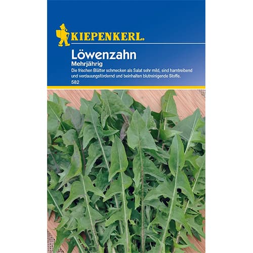 Löwenzahn Mehrjährig interface.image 1 interface.art 77491