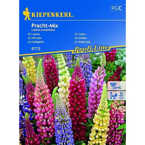 Lupine Prachtmischung interface.art Bild 1 Lupine Prachtmischung interface.image 1 interface.art 86292