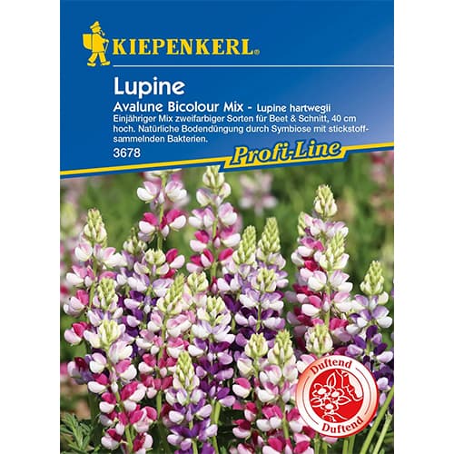 Lupine Avalune Bicolor interface.art Bild 1 Lupine Avalune Bicolor interface.image 1 interface.art 86290