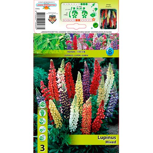 Lupine, Farbmishung interface.art Bild 1 Lupine, Farbmishung interface.image 1 interface.art 76325