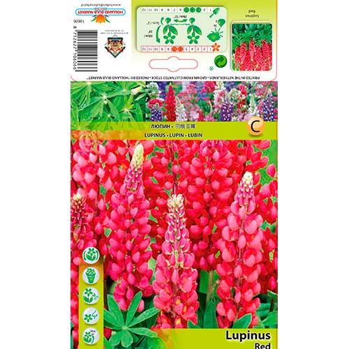 Lupine Red interface.art Bild 1 Lupine Red interface.image 1 interface.art 76327