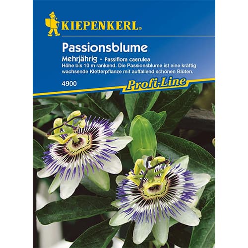 Passionsblume Kiepenkerl interface.image 1 interface.art 77452