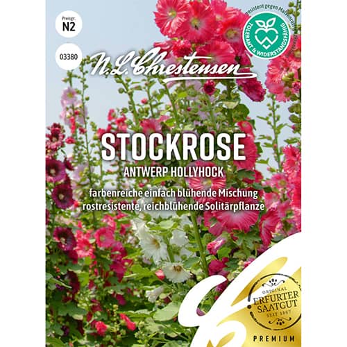 Stockrose Antwerp Hollyhock interface.art Bild 1 Stockrose Antwerp Hollyhock interface.image 1 interface.art 86197