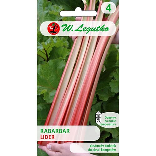 Mangold Rhubarb Lider interface.image 1 interface.art 69532