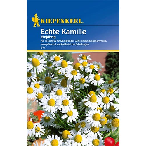 Echte Kamille Einjährig interface.art Bild 1 Echte Kamille Einjährig interface.image 1 interface.art 77424