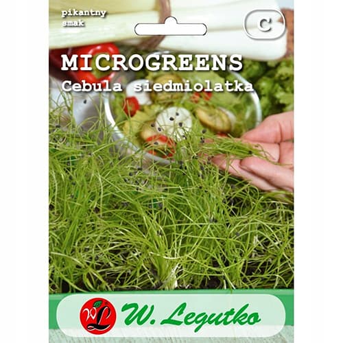 Microgreen - Lauchzwiebel interface.art Bild 1 Microgreen - Lauchzwiebel interface.image 1 interface.art 78681