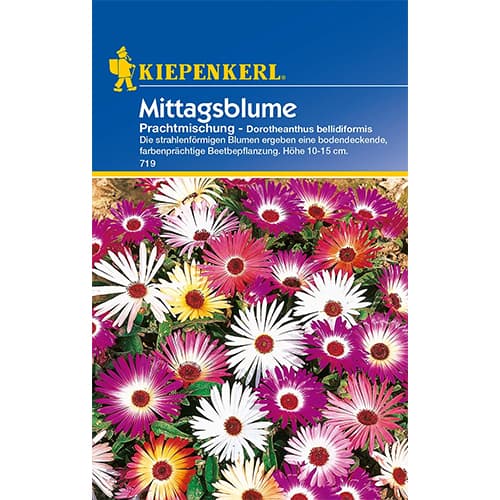 Mittagsblume Prachtmischung interface.art Bild 1 Mittagsblume Prachtmischung interface.image 1 interface.art 77404