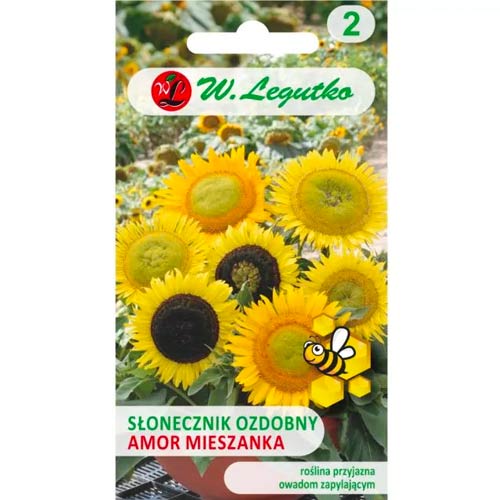 Mittelhohe einfache Amor-Sonnenblume Legutko interface.image 1 interface.art 78586