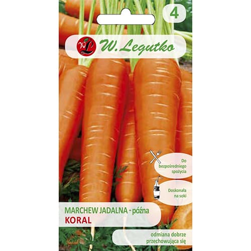 Möhre Koral interface.image 1 interface.art 86871