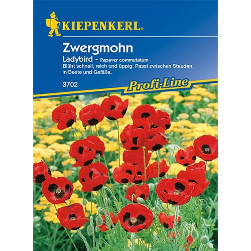 Zwergmohn LadyBird interface.art Bild 1 Zwergmohn LadyBird interface.image 1 interface.art 87271