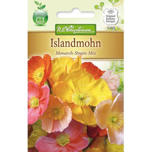 Islandmohn Monarch Strain interface.art Bild 1 Islandmohn Monarch Strain interface.image 1 interface.art 78928