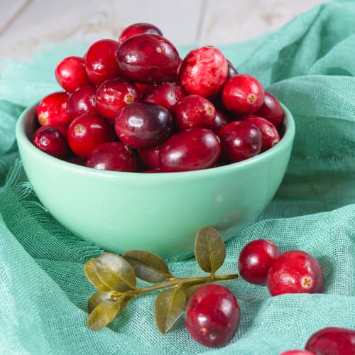 Moosbeere Piligrim, P9 interface.image 1 interface.art 9311