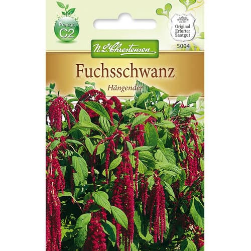 Fuchsschwanz Hängender (Amaranthus) interface.image 1 interface.art 78887