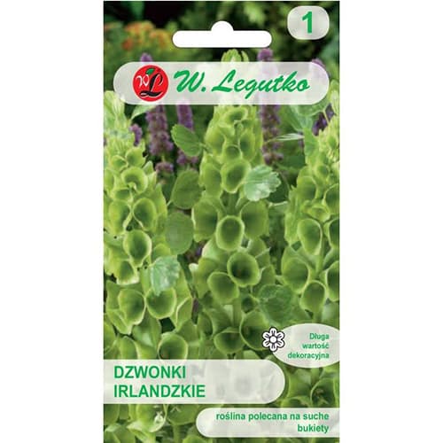 Muschelblume interface.image 1 interface.art 87858