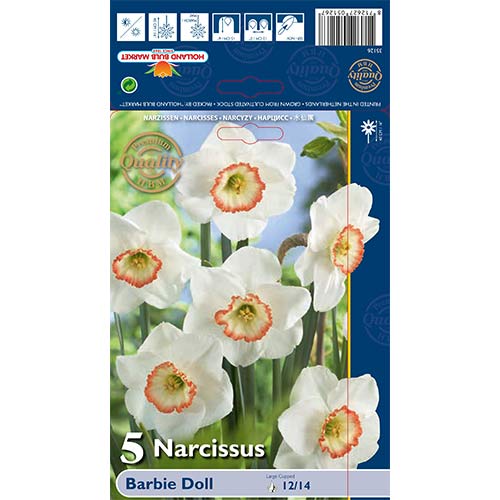 Narzisse Barbie Doll interface.image 1 interface.art 67639