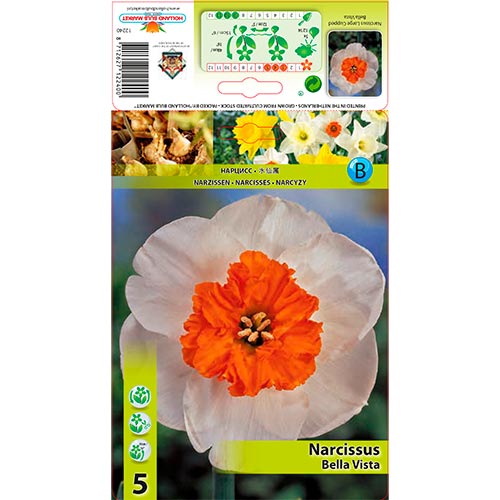 Narzisse Bella Vista interface.image 1 interface.art 67640