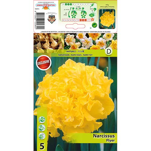 Narzisse Flyer interface.art Bild 1 Narzisse Flyer interface.image 1 interface.art 67433