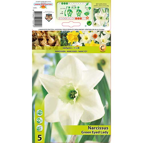 Narzisse Green Eyed Lady interface.image 1 interface.art 67429