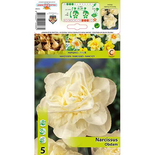 Narzisse Obdam interface.image 1 interface.art 70286