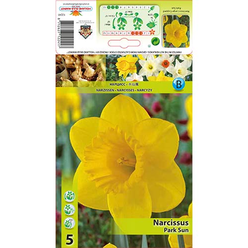 Narzisse Park Sun interface.image 1 interface.art 67654