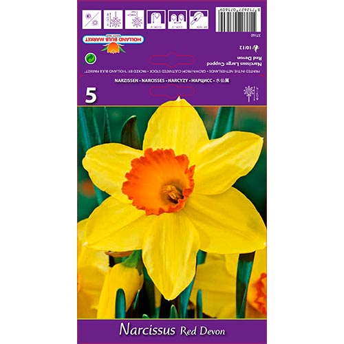 Narzisse Red Devon interface.image 1 interface.art 67659