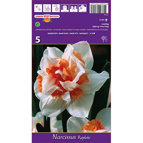 Narzisse Replete interface.image 1 interface.art 68071