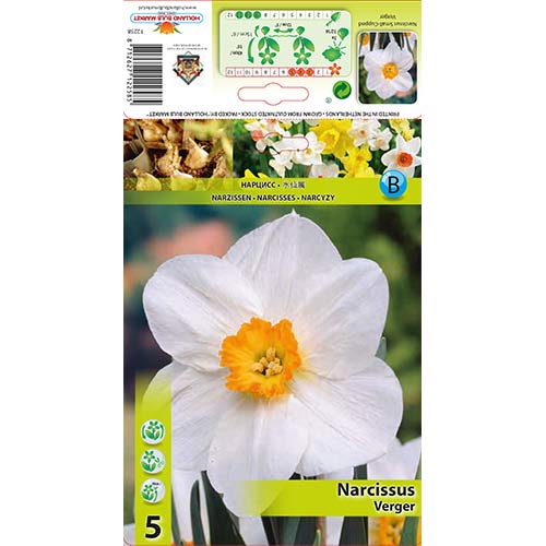 Narzisse Verger interface.image 1 interface.art 70279