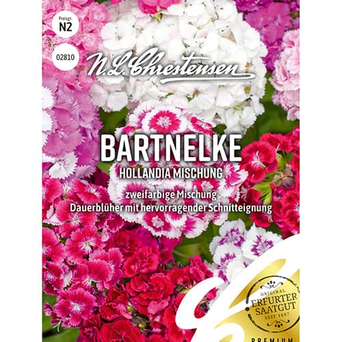 Bartnelke Hollandia Mischung interface.image 1 interface.art 86123