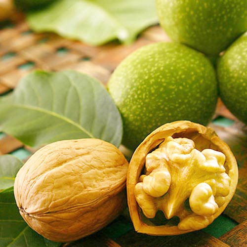 Nussbaum Chandler, С2 interface.image 1 interface.art 7041