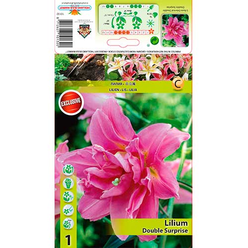 Lilie Double Surprise interface.image 1 interface.art 76307