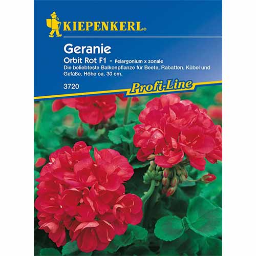 Geranie Orbit Rot F1 interface.art Bild 1 Geranie Orbit Rot F1 interface.image 1 interface.art 96536