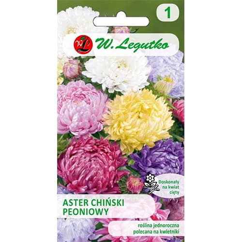 Peonienaster Mischung interface.image 1 interface.art 78529