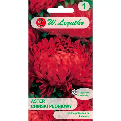 Peonienaster rot Legutko interface.image 1 interface.art 78525