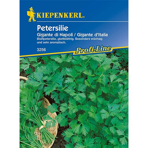 Petersilie Gigante di Napoli interface.image 1 interface.art 96644