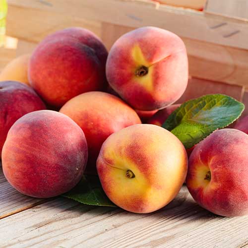 Pfirsich Romeo, C2 interface.image 1 interface.art 9678