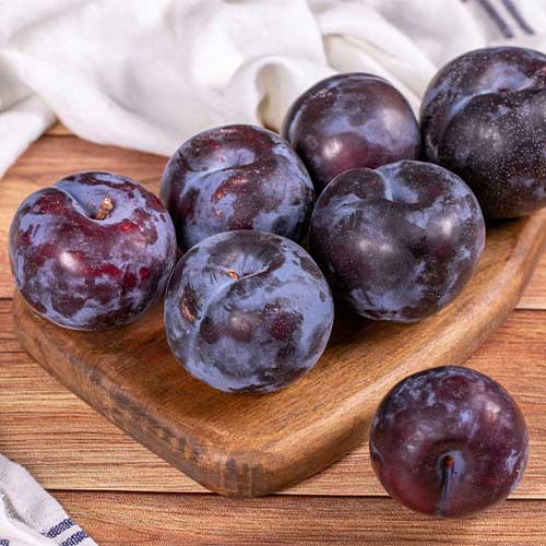 Pflaume Black Star, С2 interface.image 1 interface.art 5673