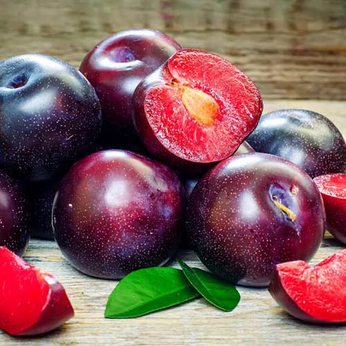 Pflaume Sonic Lady, С2 interface.image 1 interface.art 4313