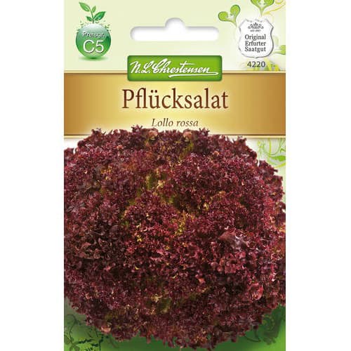 Pflücksalat Lollo Rossa interface.image 1 interface.art 78779